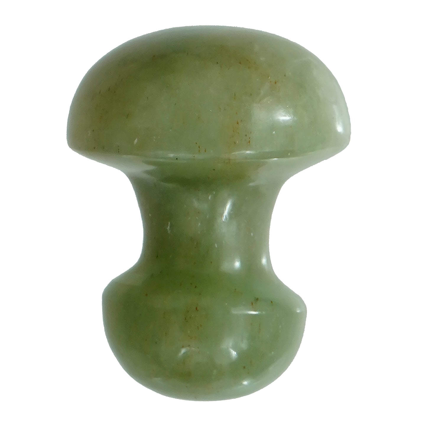 Gua Sha Mushroom