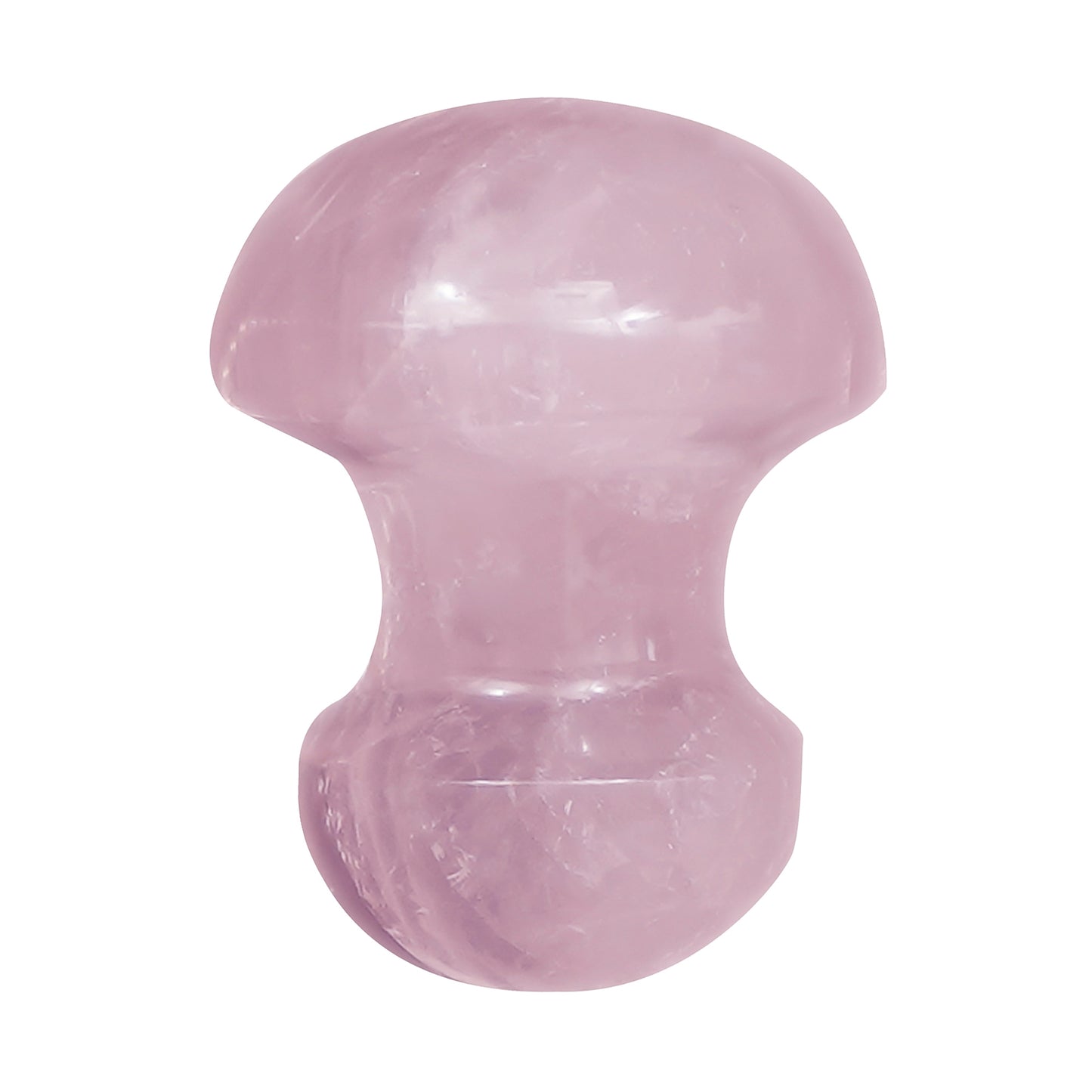 Gua Sha Mushroom